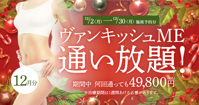 【12/2～12/30施術予約分】ヴァンキッシュME 通い放題！