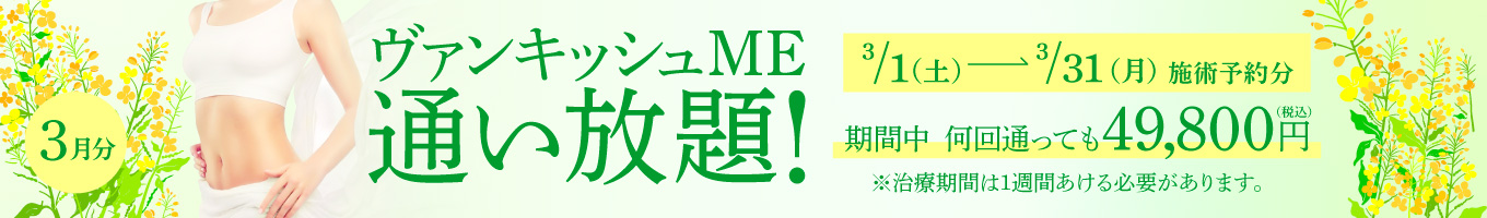 【3/1～3/31施術予約分】ヴァンキッシュME 通い放題！