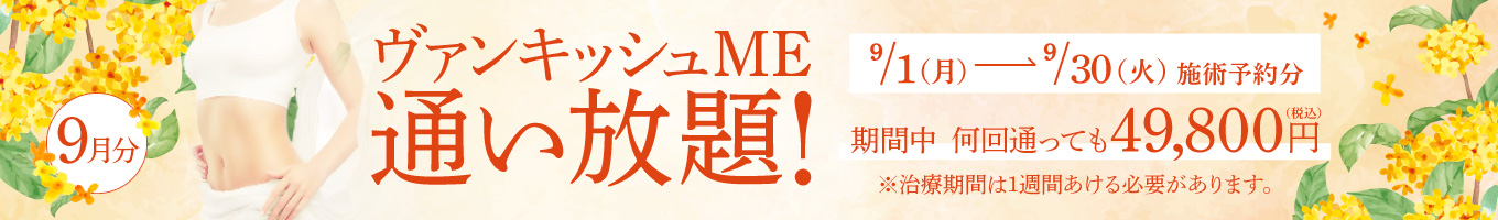 【9/1～9/30施術予約分】ヴァンキッシュME 通い放題！