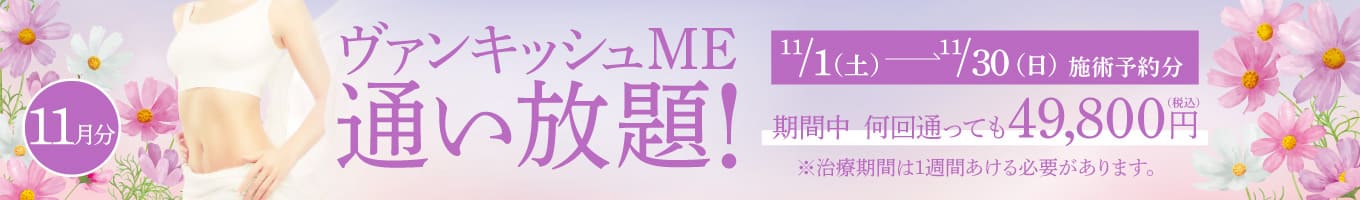 【11/1～11/30施術予約分】ヴァンキッシュME 通い放題！