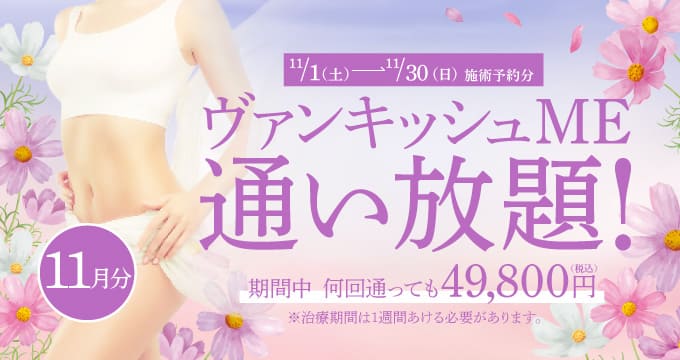 【11/1~11/30施術予約分】ヴァンキッシュME 通い放題!