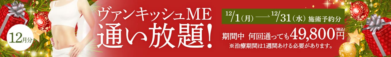 【12/1～12/31施術予約分】ヴァンキッシュME 通い放題！