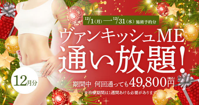 【12/1～12/31施術予約分】ヴァンキッシュME 通い放題！