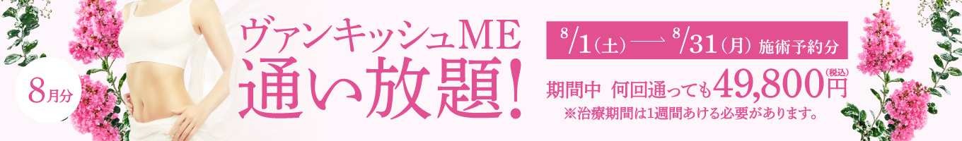 【8/1～8/31施術予約分】ヴァンキッシュME 通い放題！