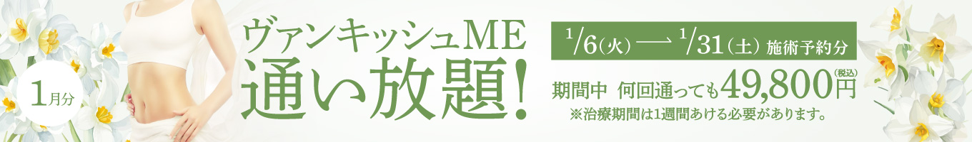 【1/1～1/31施術予約分】ヴァンキッシュME 通い放題！