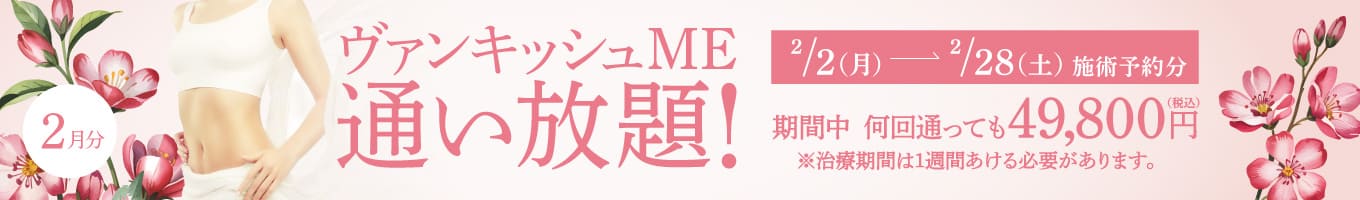 【2/2~2/28施術予約分】ヴァンキッシュME 通い放題！