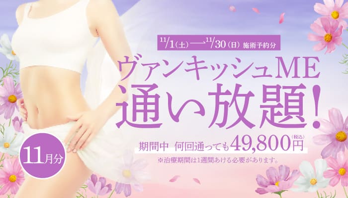 【11/1~11/30施術予約分】ヴァンキッシュME 通い放題!