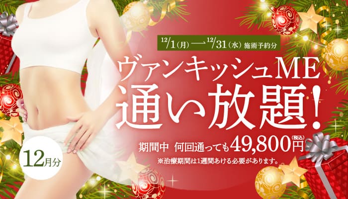 【12/1～12/31施術予約分】ヴァンキッシュME 通い放題！