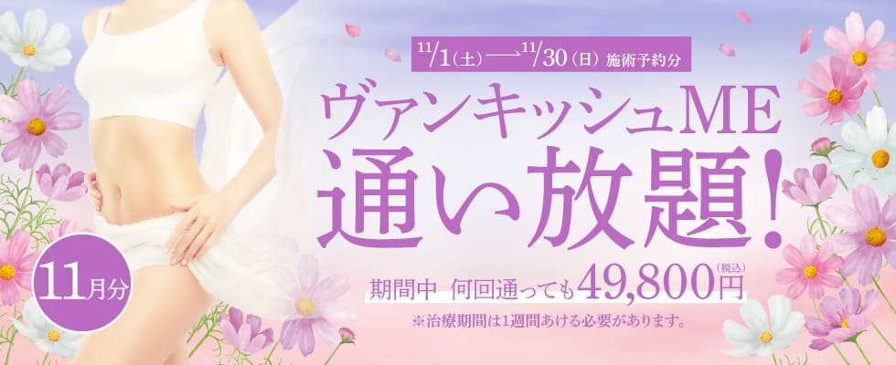 【11/1~11/30施術予約分】ヴァンキッシュME 通い放題!