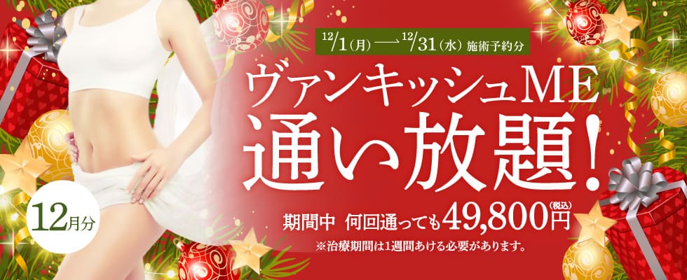 【12/1～12/31施術予約分】ヴァンキッシュME 通い放題！
