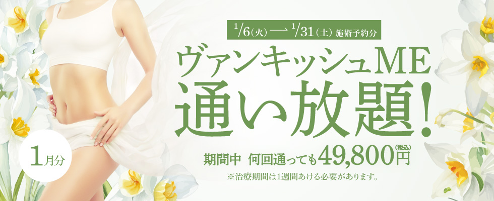 【1/1～1/31施術予約分】ヴァンキッシュME 通い放題！