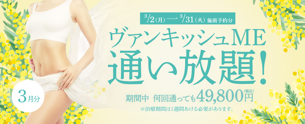 【3/2～3/31施術予約分】ヴァンキッシュME 通い放題！